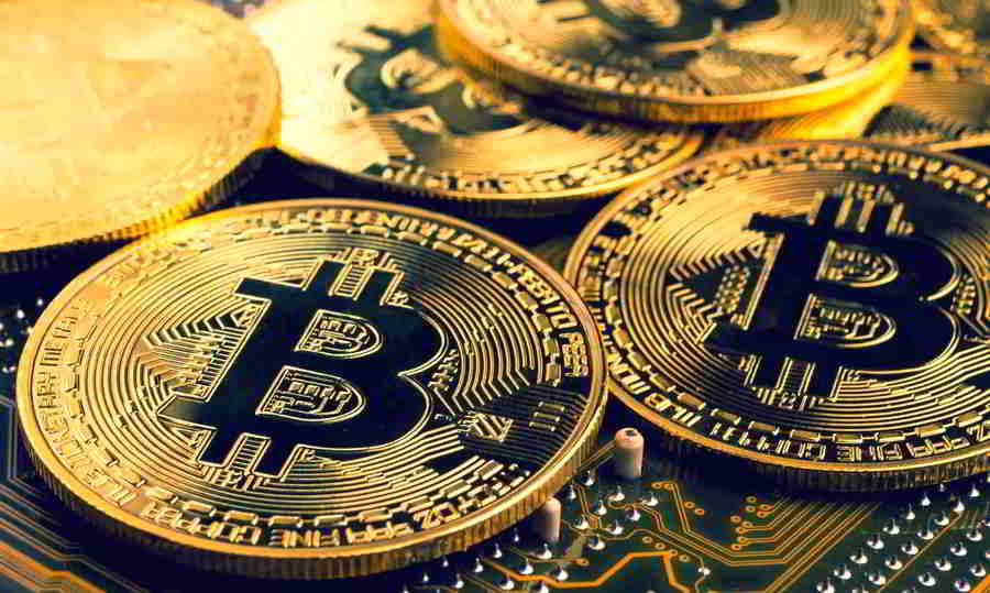 Bitcoin должен выжить среди криптовалют