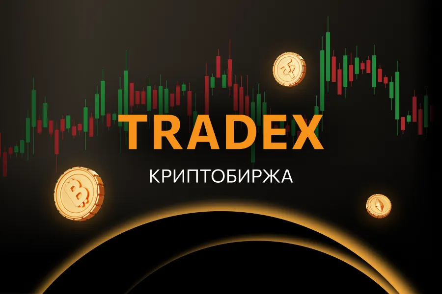 Новая криптобиржа открылась в Беларуси — tradex.by